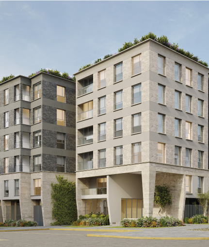 WEB_BIO_Proyecto miniatura (1)